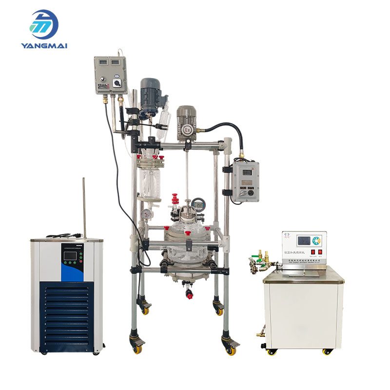 Lò phản ứng thủy tinh pha rắn tùy chỉnh dành cho ứng dụng dược phẩm và hóa chất.